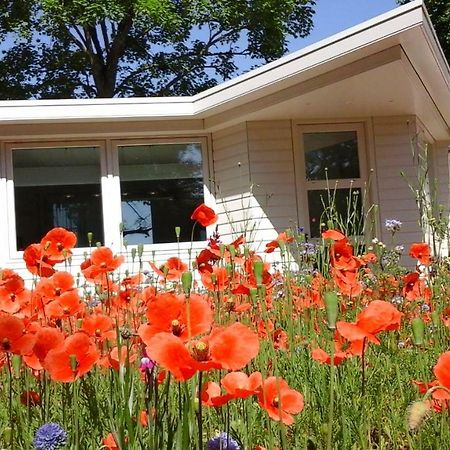Vila Het Findament Tiny House Hilversum Exteriér fotografie
