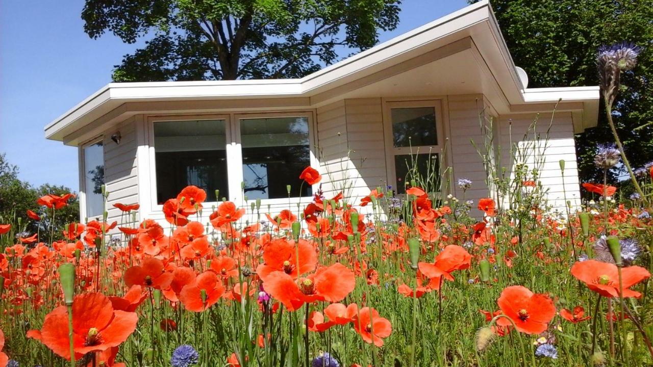 Vila Het Findament Tiny House Hilversum Exteriér fotografie